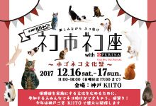 ネコ市ネコ座神戸　with ピュリナ＠KIITO　ホゴネコ文化祭